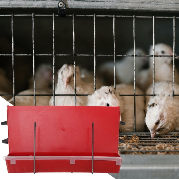 LIFKOME Convenient Poultry Feeder Durable ABS for Quail and Pigeon 1Pc