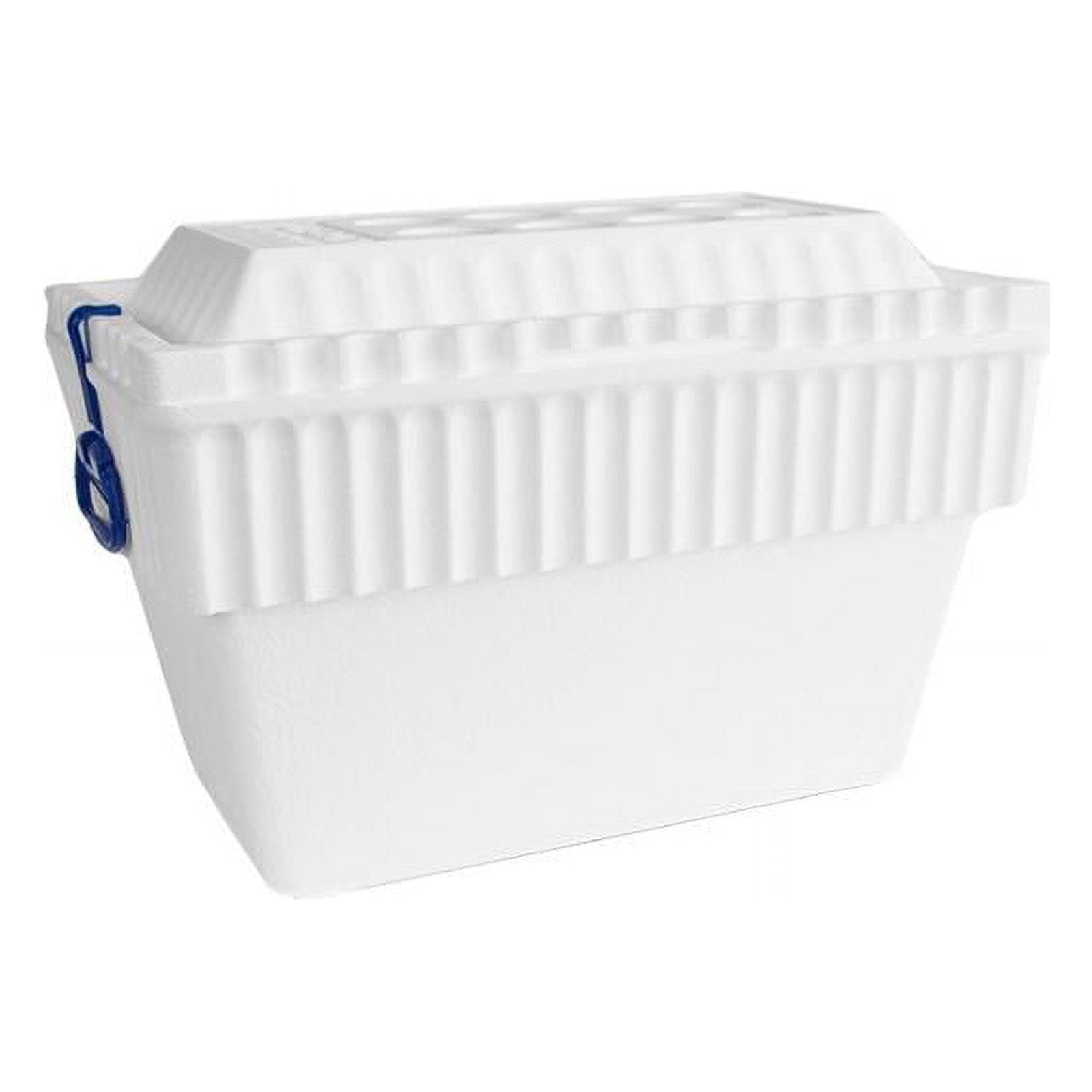 LIFOAM 40 Quart Senior Chest with Side Handles & Lid Lock