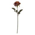 thumbnail image 1 of My Texas House Fall Faux Rose Stem, Light Brown, 20", 1 of 5