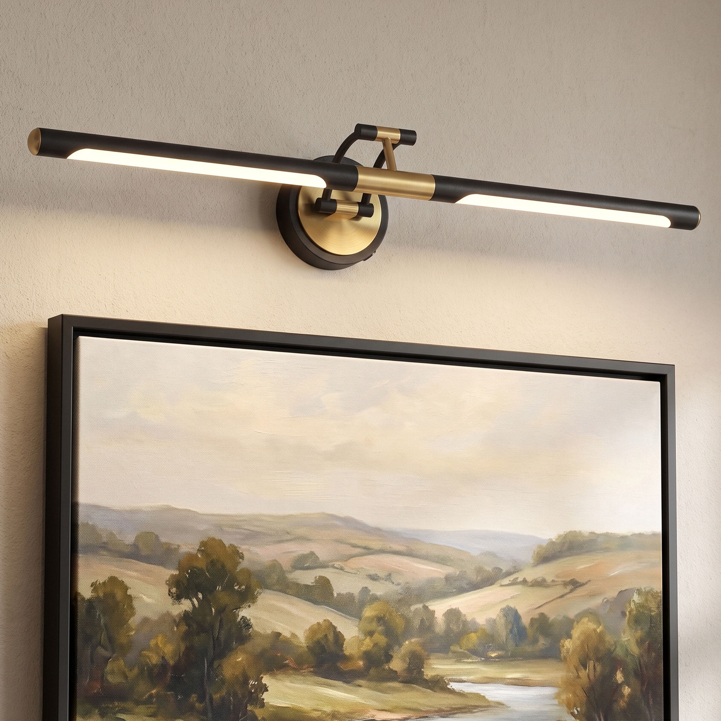 LIGHTINN 30in LED Picture Light, Battery Operated Art Light,with Remote ...