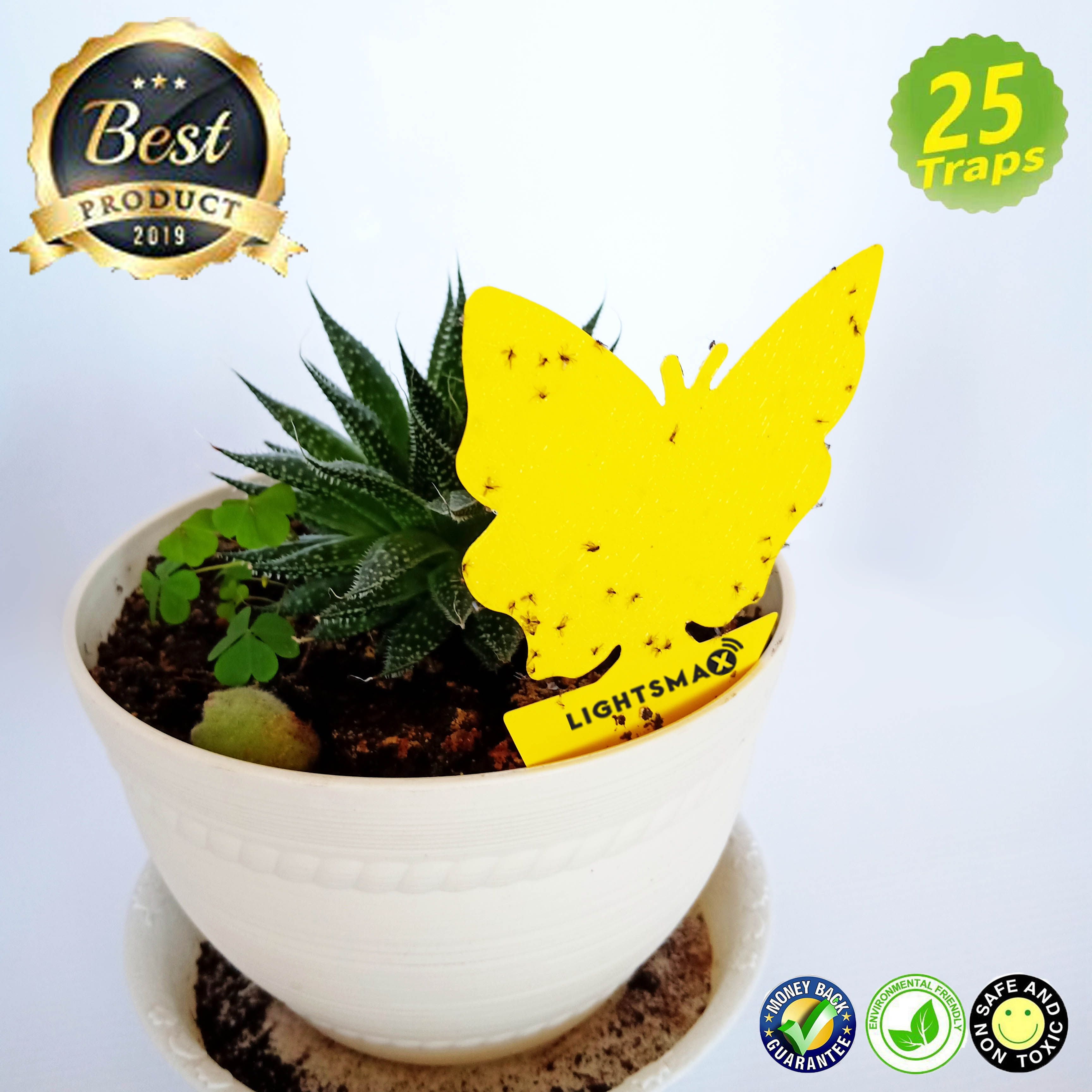 https://i5.walmartimages.com/seo/LIGHTSMAX-Sticky-Bug-Gnat-Fruit-Fly-Trap-Yellow-Dual-Sided-Glue-Insect-Catcher-Control-Bugs-Indoor-Outdoor-Traps-Flies-Aphids-Flying-Pests-Potted-Pla_f6b41302-a700-4c05-bfa5-099d6d999976_1.f2c5653f373a31189a46ae832efb73ad.jpeg
