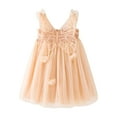 thumbnail image 1 of LIIPEE Girls Dresses Solid Color Sleeveless Butterfly Tulle Ball Gown Sundress Toddler Stylish Birthday Dress,Beige,3-4 Years, 1 of 7