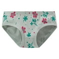 thumbnail image 1 of LIIPEE Girls Underpants Breathable Comfortable Cotton Flower Printed Briefs Toddler Leisure Panties,Mint Green,1-3 Years, 1 of 3