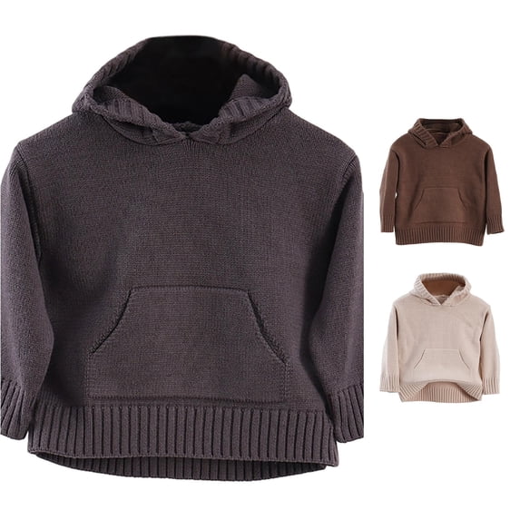 LIIPEE Solid Color Knit Hooded Sweaters For Boys Long Sleeve Warm Pullover Kids Autumn Winter Cozy Soft Casual Sweater,3-4 Years