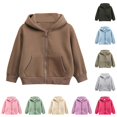 thumbnail image 1 of LIIPEE Zip Up Hoodies For Girls Long Sleeve Solid Color Hooded Sweatshirt With Pockets Kids Casual Fall Cute Daily Sweatshirts,3-4 Years, 1 of 9