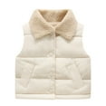 thumbnail image 1 of LIJCC Infant Baby Vest Winter Button Closure Boy Girl Clothes Toddler Jacket Padded Gilet Warm Outerwear with Pockets Down Vest Puffer Sleeveless Outfit Jacket, 1 of 5