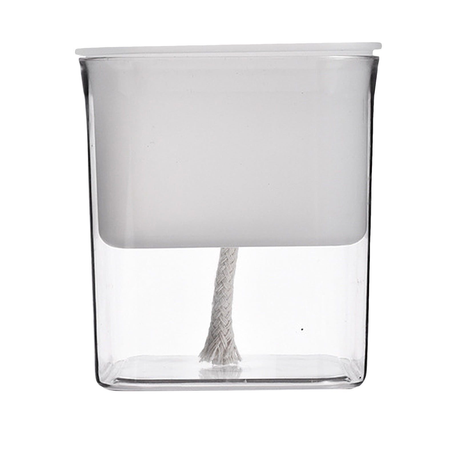 LIJCC Pothos Hydroponic Flower Pot,Automatically Absorbs The of