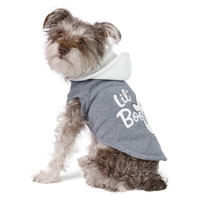 Vibrant Life Halloween Hoodie for Dogs and Cats, Lil' Boo, Gray, XS