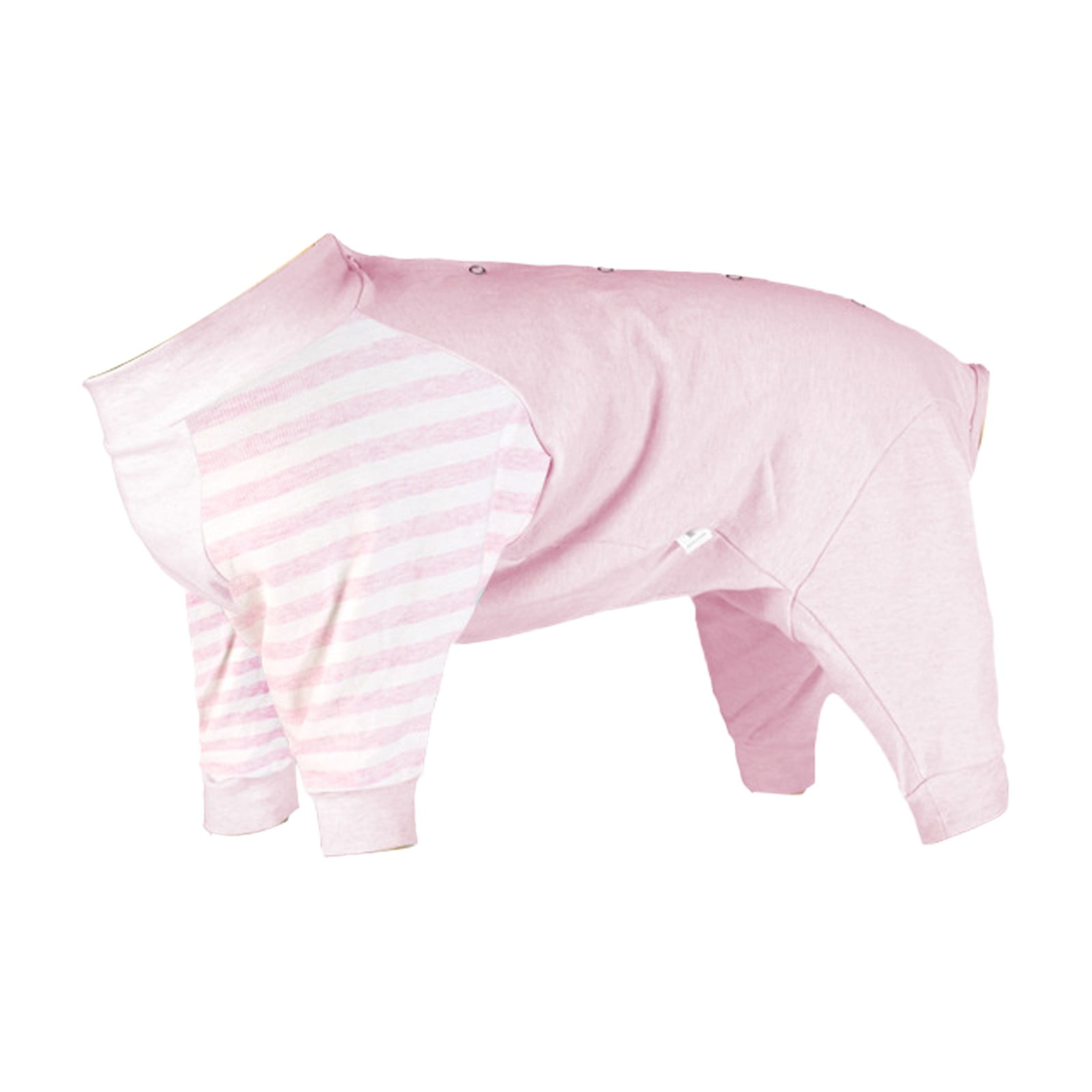 LILELIS Pet Supply plus Shop Small Dog Leash Pet Supplies Dog Clothes