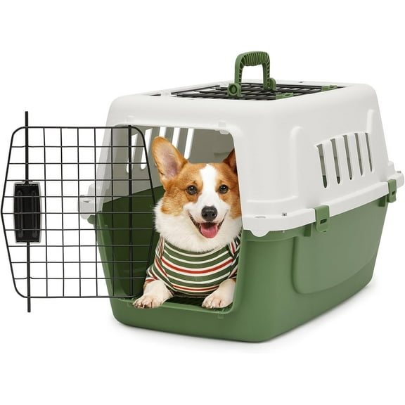 LILEYI Pets Plastic Carrier, 22-Inch Hard-Sided 2-Door Top-Loading Kennel for Small Dogs and CatsLonger Traveling, Durable Handle, and 4 Sides Ventilation for Pet Up 22 lbs (White Green)