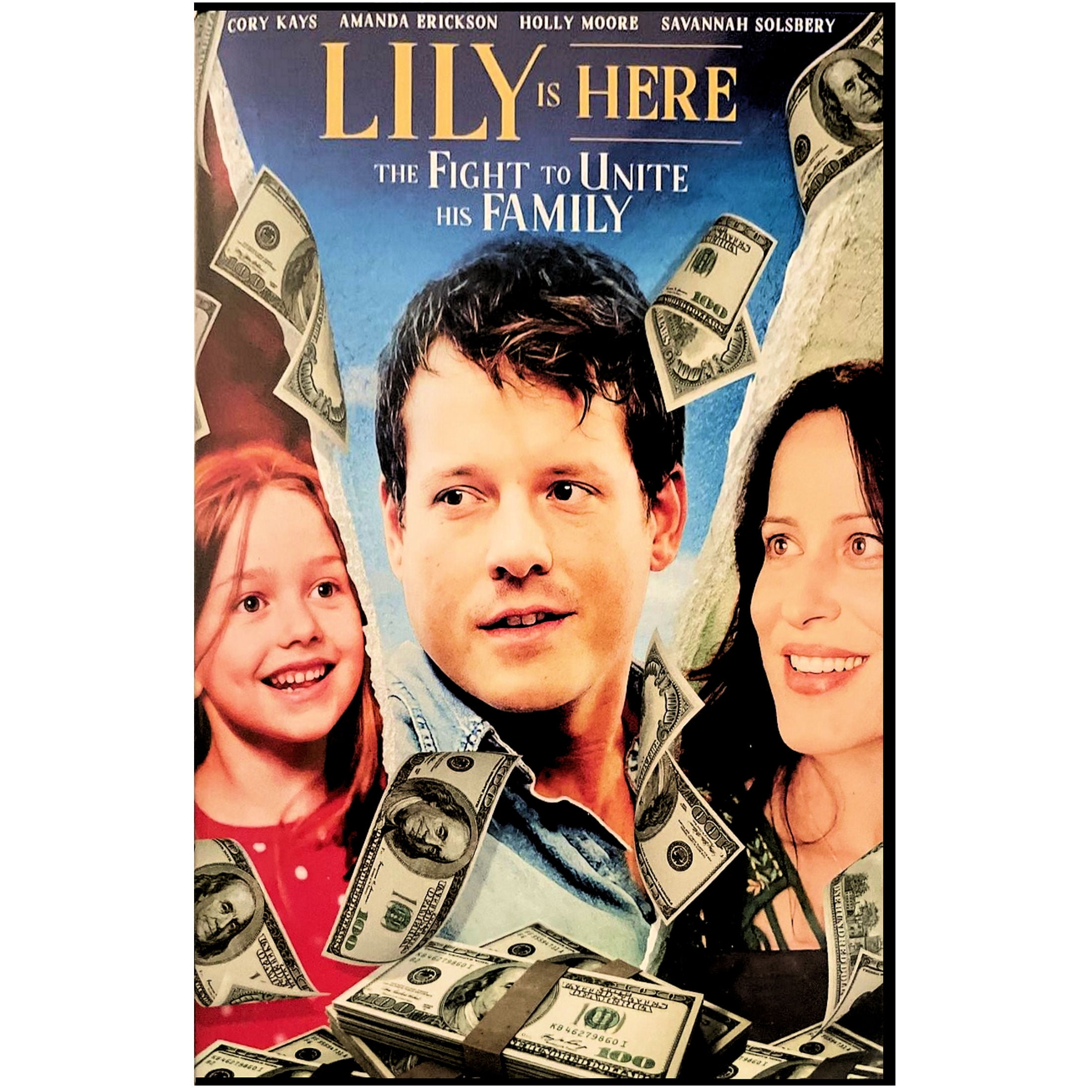 DVD lily LILY IS HERE DVD WS - Walmart Business Supplies