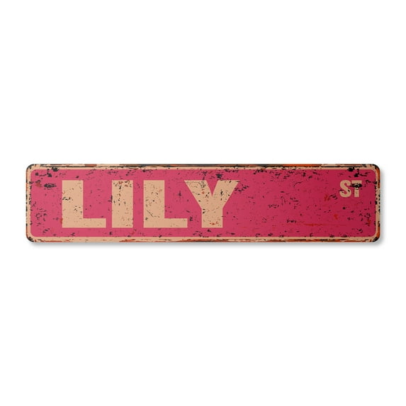 LILY Vintage Plastic Street Sign Childrens Name Room Sign | Indoor/Outdoor | 18" Wide