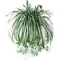 thumbnail image 1 of LIMEI 25.59" Artificial Chlorophytum Comosum Plant in Pot, 1 of 6