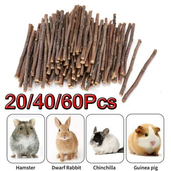 LINASHI 20/40/60Pcs Natural Apple Sticks Food for Small Animals, Chew Toys for Chinchilla Guinea Pigs Rabbit Squirrel Hamster Bunny