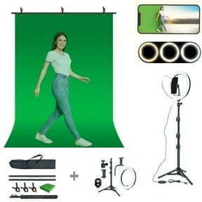 LINCO T-Shape Backdrop Stand with Green Screen & 10" Ring Light Stand Lighting Kit for TikTok