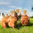 thumbnail image 1 of LINFANG 2 Pack Peck Toy Lightweight Chicken Treat Dispenser Interactive Chicken Slow Feeder Toy Fun Chicken Enrichment Toys for Hens Ducks Large Birds Parrots, 1 of 8