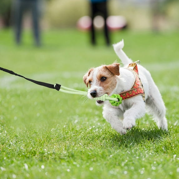 LINFANG 2 Pcs Dog Rope Toys Interactive Dog Bungee Toy with Chewing Rope for Most Dogs Multipurpose Pet Accessories for Indoor and Outdoor Activities
