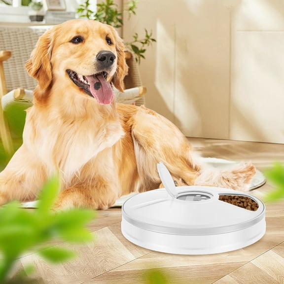 LINFANG Cat Feeder Wet Food with Timer 6 Meals Pet Wet Food Dispenser Cordless Cat Fresh Food Feeder Battery Powered Pet Food Feeder Wet Food Dispenser for Wet Fry Food Snacks