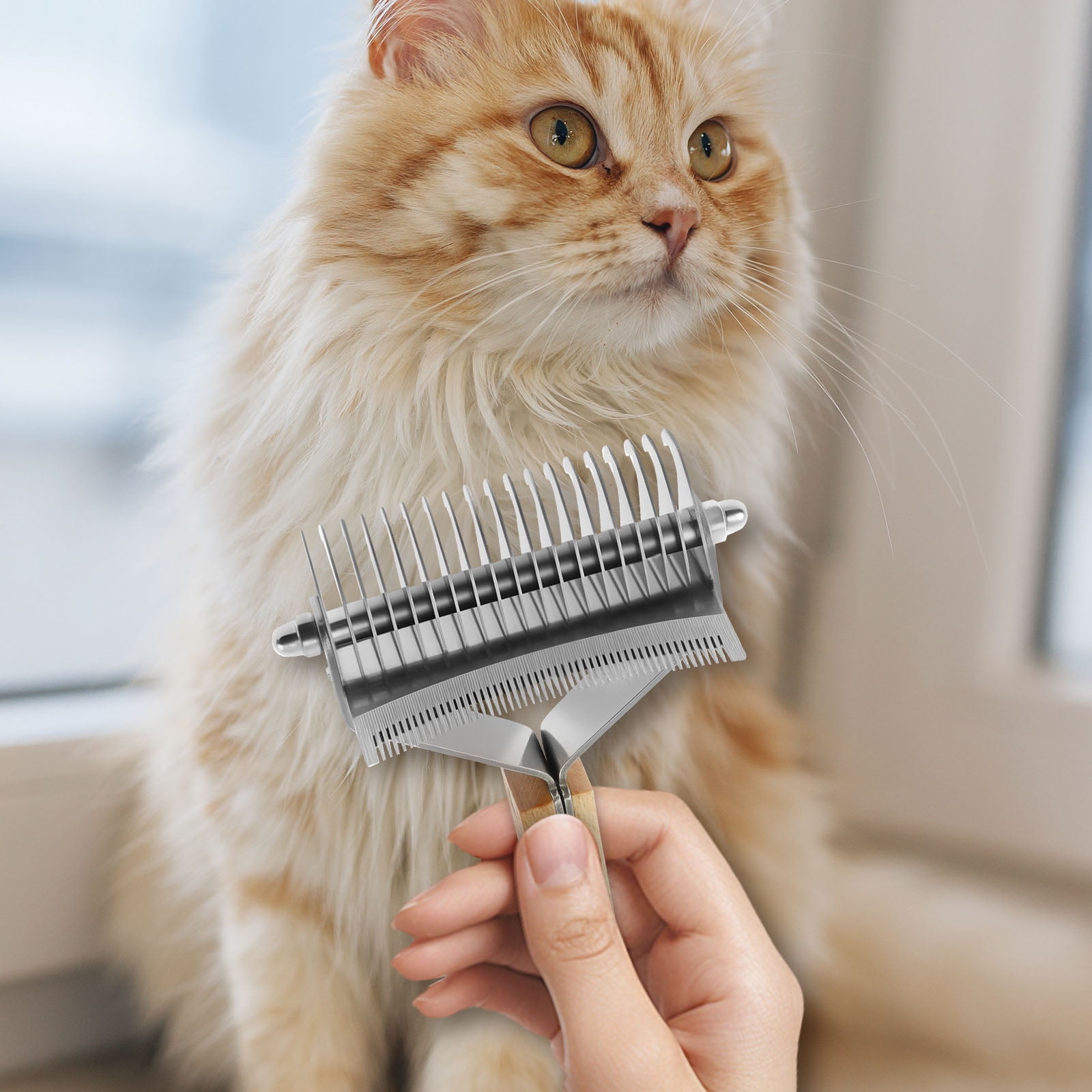 Detangling Comb Best Brush For Matted Cat Hair LINFANG Pet