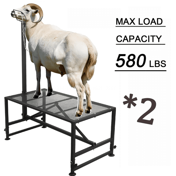 LINJI 2PCS *Metal Trimming Stand for Sheep, 580LBS Goat Stand with Edge thickening welding, Hoof Trimming Stand Adjustable Size, Fits Goats, Sheep, Livestock