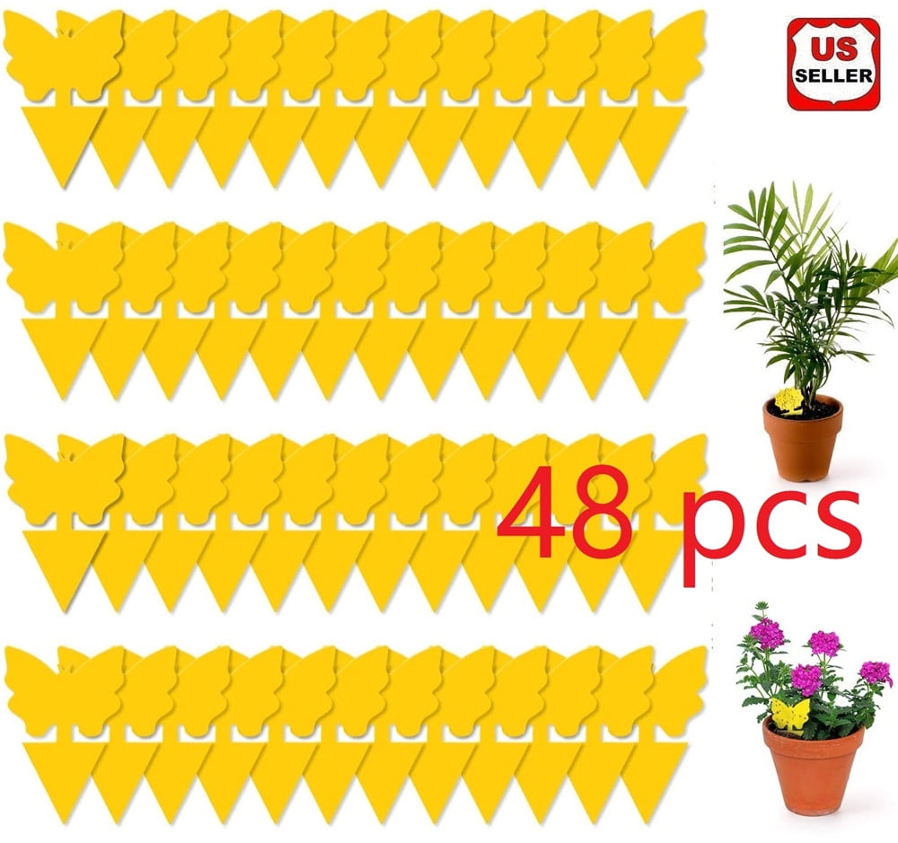 LINKPAL 48 Pack Sticky Fruit Fly Trap and Fungus Gnat Traps Killer for Indoor and Outdoor, Protect the Plant, Non-Toxic and Odorless