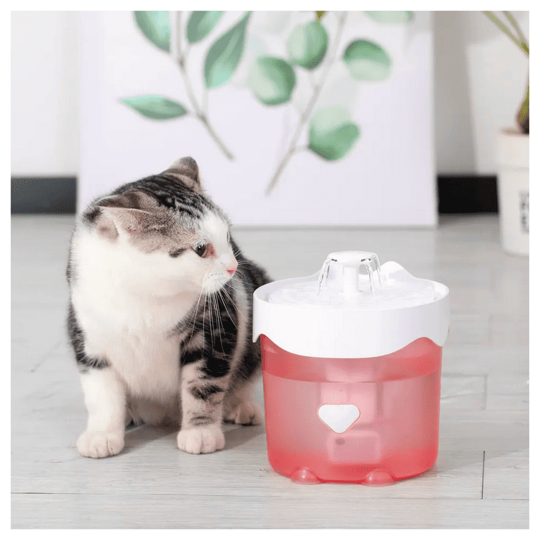 Auto cat water bowl online