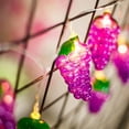 thumbnail image 1 of LINLIN Fruit String Lights, Lemon Slice Decor Lights Battery Operated Fairy String Light for Wall, Christmas, Nursery, Party, 1 of 8