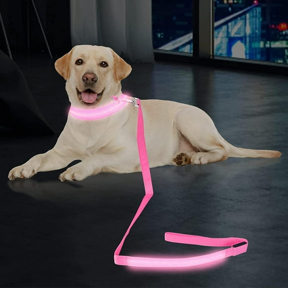 LINLIN LED Dog Collar, USB Rechargeable Dog Lights Light Up Dog Collars Weatherproof for Night Walking