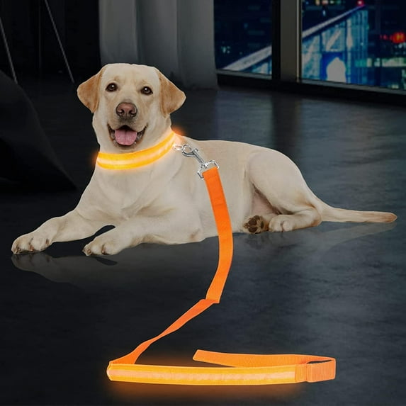 LINLIN LED Dog Leash and LED Dog Collar, USB Rechargeable Dog Lights Light Up Dog Collars Weatherproof Dog Leash 120cm