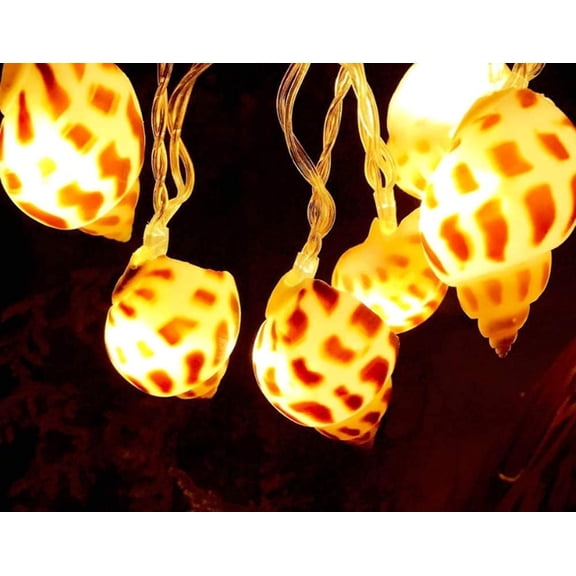 LINLIN Shell Conch String Lights, 1.2M 10LED Sea Shell Fairy Lights Conch String Light Battery Operated for Indoor Outdoor