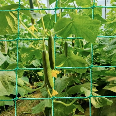 LINMOUA Climbing Plant Trellis - Heavy Duty Garden Trellis for Cucumbers, Vines, Fruits and Vegetables, Tomato Plant Trellis, Climbing Vines/70.87x35.43 inch (27 Strands)