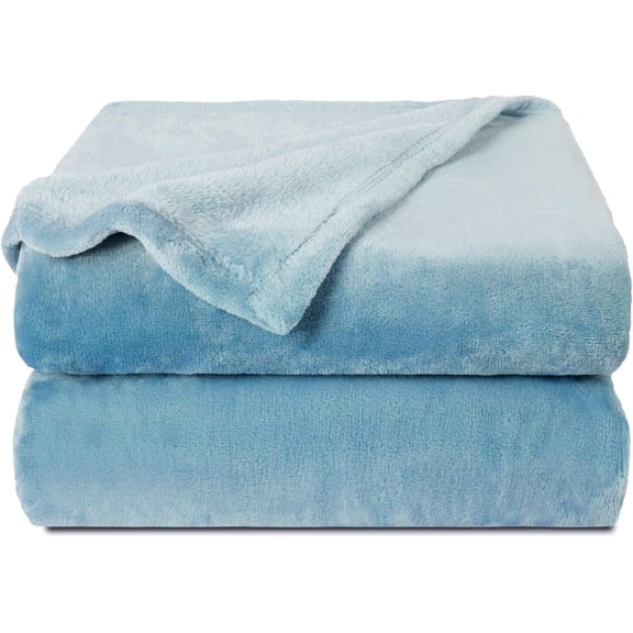 LINMOUA Fleece Blankets, Super Soft Flannel Fuzzy Blanket for Couch, Luxury Cozy Lightweight Microfiber Dog Blanket-Throw Size,Light Blue,40"x60"