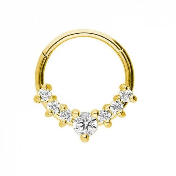 LINXIQIN Titanium Micro Cubic Zirconia Hinged Nose Hoop Ring Body Jewelry Unisex