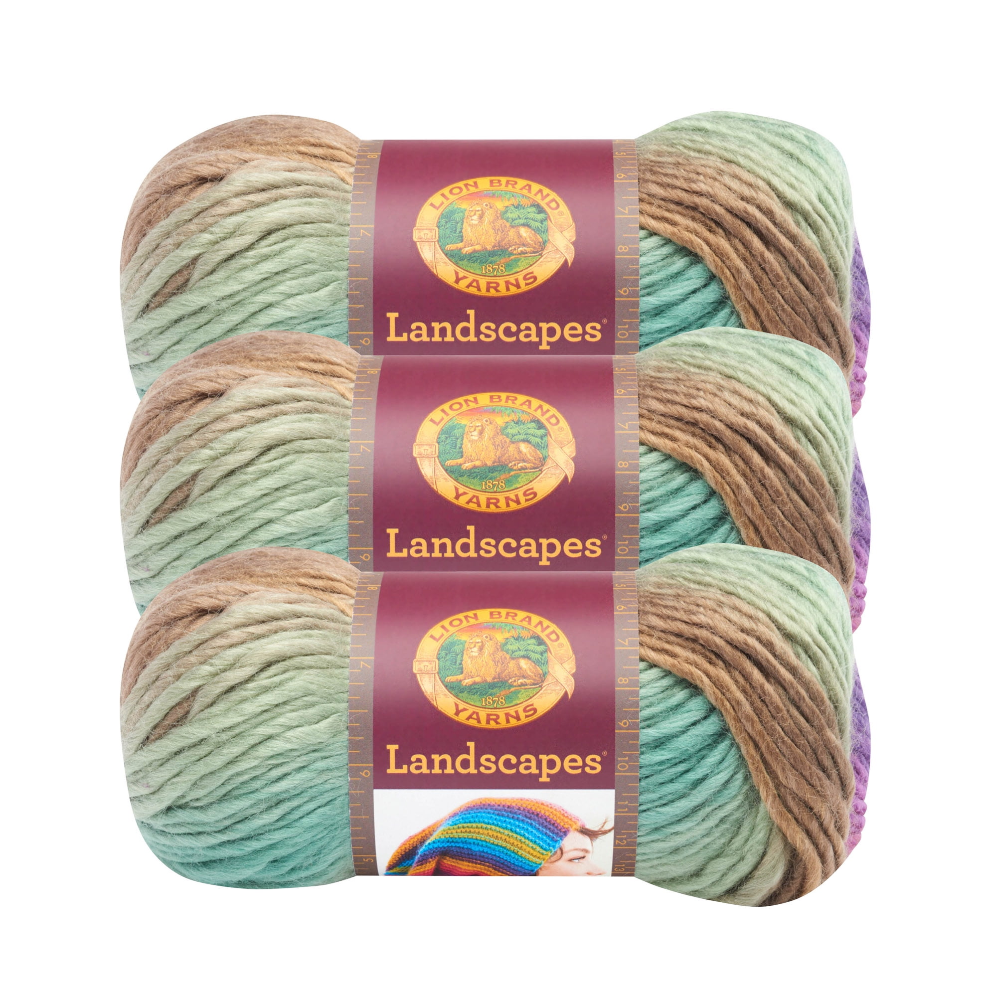 Lion Brand Yarn Landscapes Volcano Medium Acrylic Multi-color Yarn 3 Pack -  Yahoo Shopping