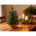 thumbnail image 1 of 18in Pre-Lit Artificial Christmas Tree with Warm White LED Lights, Timer & Remote, Realistic Flame Retardant Holiday Decor for Tabletop, 1 of 5
