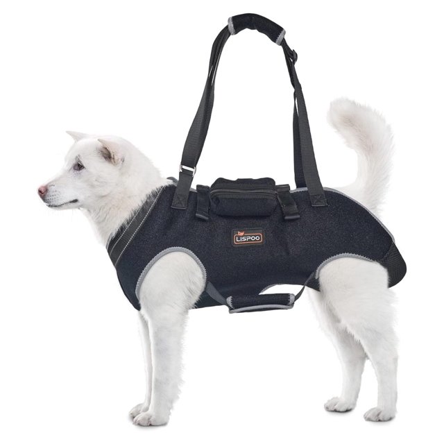 LISPOO Dog Lift Harness for Senior Dogs, Small and Medium Dogs, Full