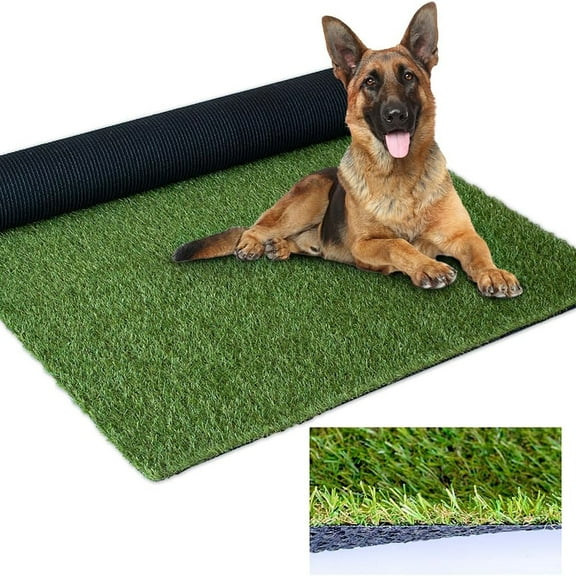 LITA 1' x 62' Indoor Outdoor Artificial Grass Turf Rug for Patio Garden