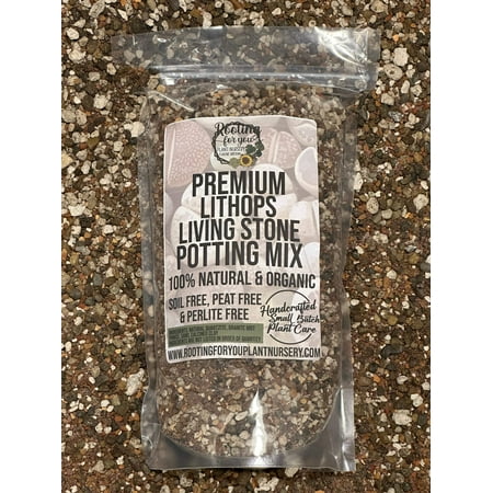 Lithops Living Stone Premium Potting Mix