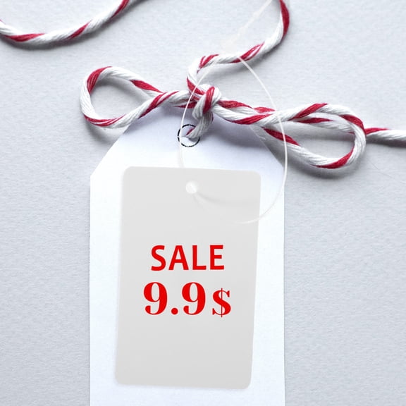 LITINKIMI 200Pcs White Blank Price Tags with String for Retail Labeling and Easy Note Taking