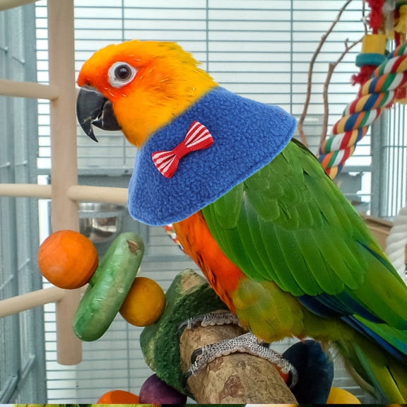 LITINKIMI 2Pcs Bird Collar Elizabethan Cone for Parrot Feather Plucking and Postoperative Recovery with Adjustable Fit