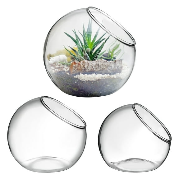 LITINKIMI 3-Piece Glass Terrarium Set with Round Bubble for , Air Plants, Clear for Home Decor, Oblique Opening Bowls