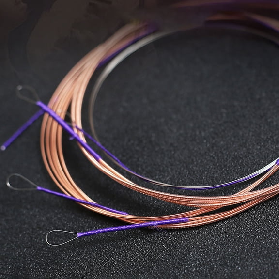 LITINKIMI 4Pcs Professional Chinese Lute Strings Multi Color Durable Steel Pipa Strings Replacement