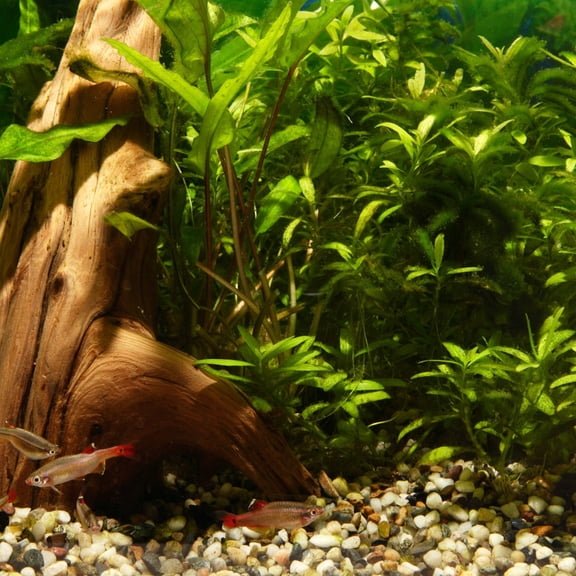 LITINKIMI Brown Ceramic Fish House Aquarium Hideout Natural Look for Betta Shrimp and Reptiles
