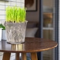 LITINKIMI Clear Automatic Self Watering Flowerpots Double Layer 4 Pack ...