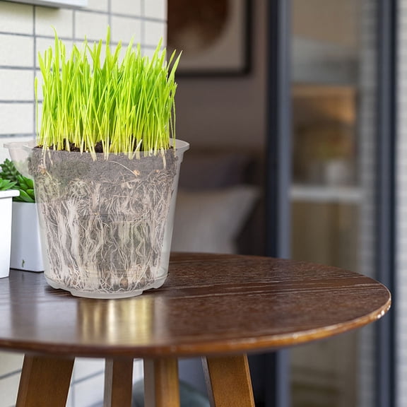 LITINKIMI Clear Automatic Self Watering Flowerpots Double Layer 4 Pack