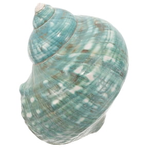 LITINKIMI Dark Green Conch Shell for Fish Tank and Aquarium 1Pcs
