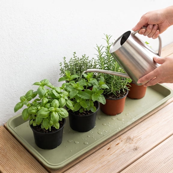 LITINKIMI Indoor Garden Rectangular Plastic Drip Tray Green with High Edge Spill Protection