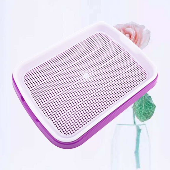 LITINKIMI Growing Tray with Dense Small Holes for Easy Rooting and High Budding Rate in Purple