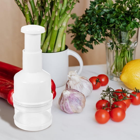 LITINKIMI Square Vegetable Chopper and Garlic Crusher Set with ABS for Kitchen Use
