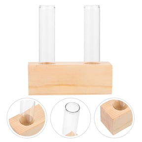 LITINKIMI Compact Hydroponic Glass Vase with Wooden Base for Desktop Plant Terrarium Clear Modern Design